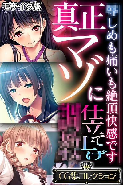 真正マゾに仕立て上げ●● 〜●しめも痛いも絶頂快感です〜【CG集コレクション】 モザイク版